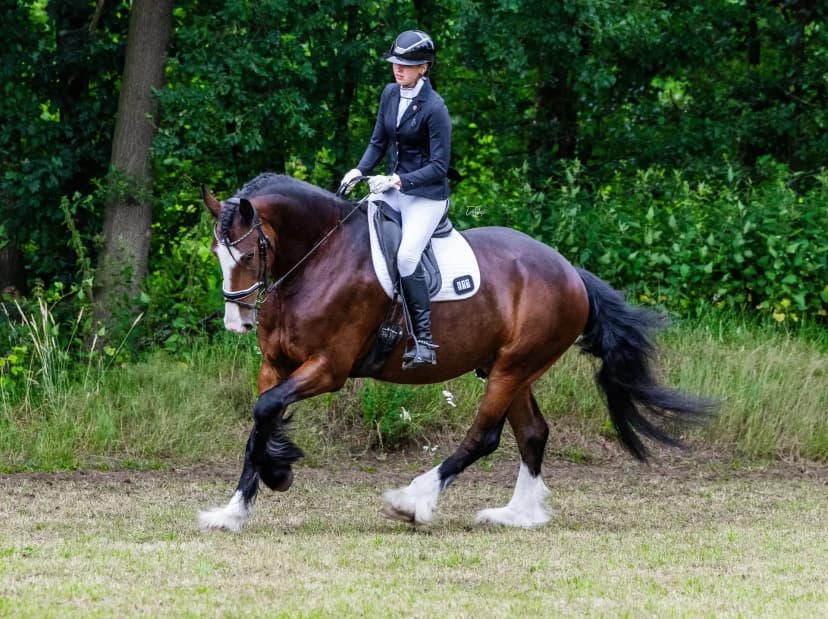 Doorrijden/training oppakken